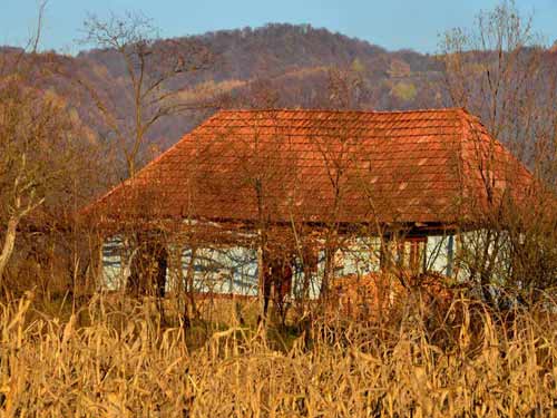 Foto Amurg in Bixad (c) Lucian Petru Goja